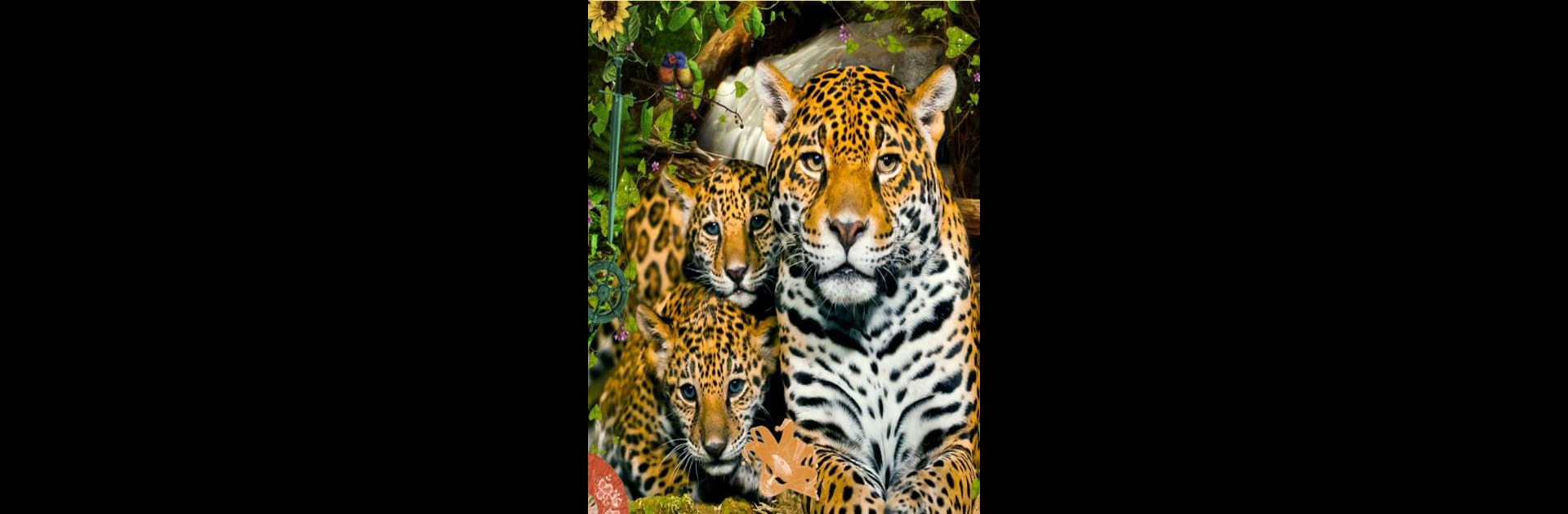 Hidden Object: Animal World