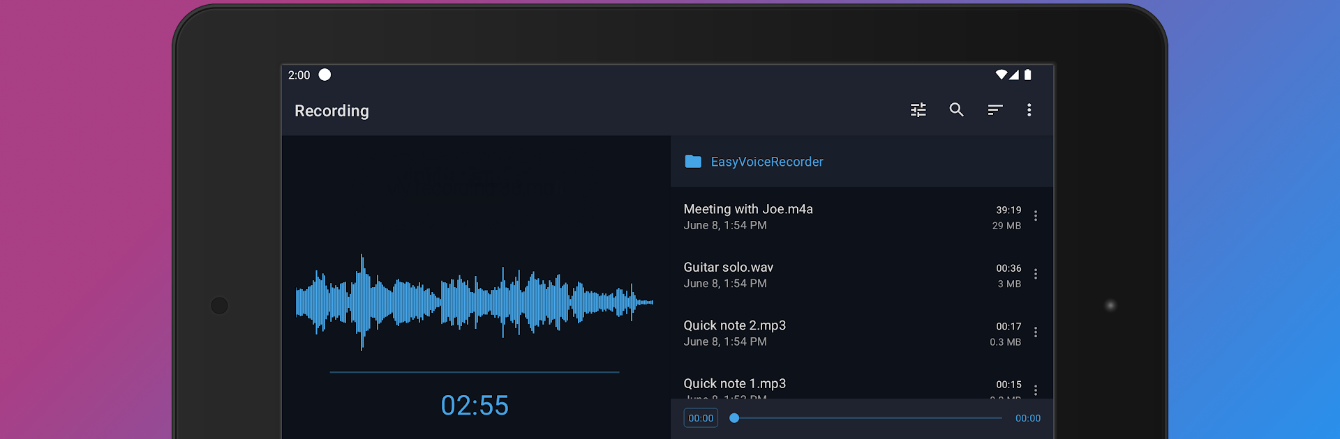 Easy Voice Recorder Pro