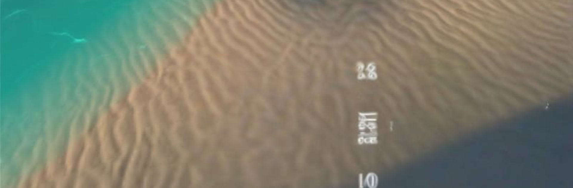 Jurassic Clash Primal Dino Sim