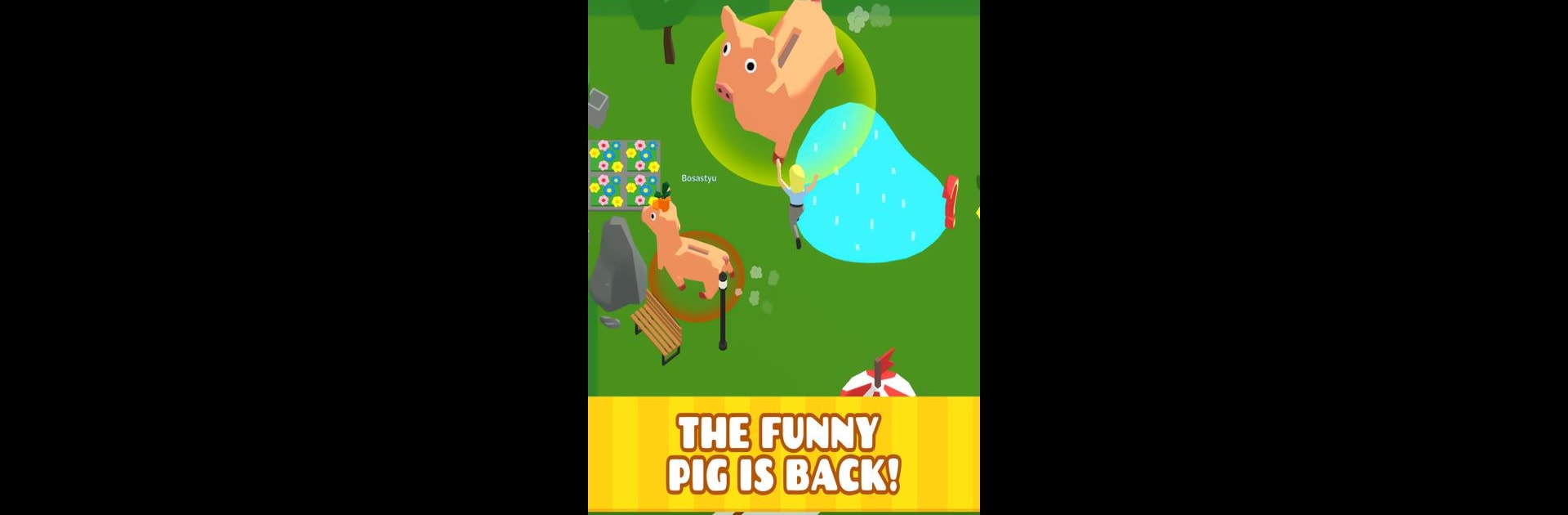 Piggy io - Pig Evolution