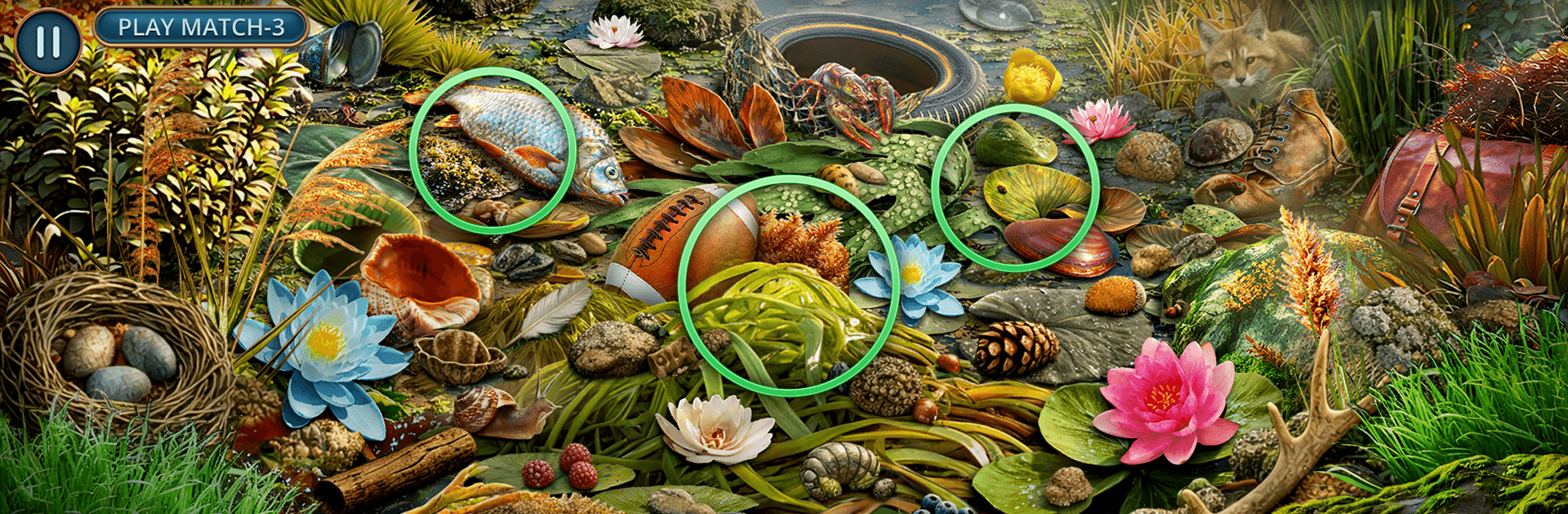 Wild Story: Secrets f2p