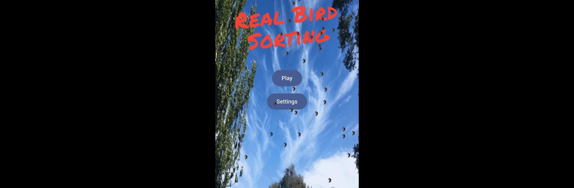 Real Bird Sorting: Sort Puzzle