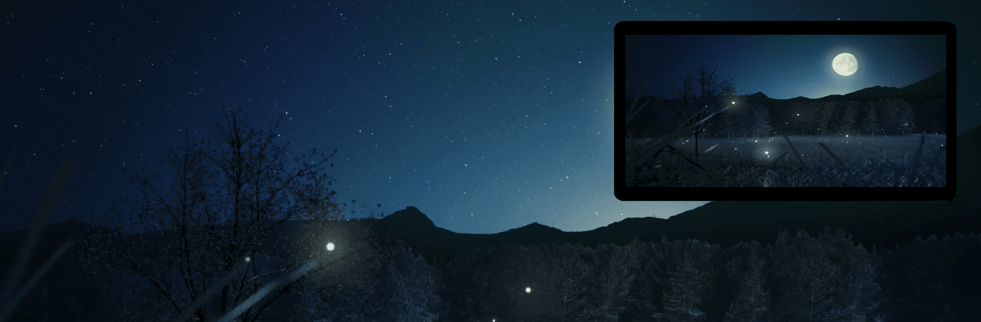 Enchanted Night HD