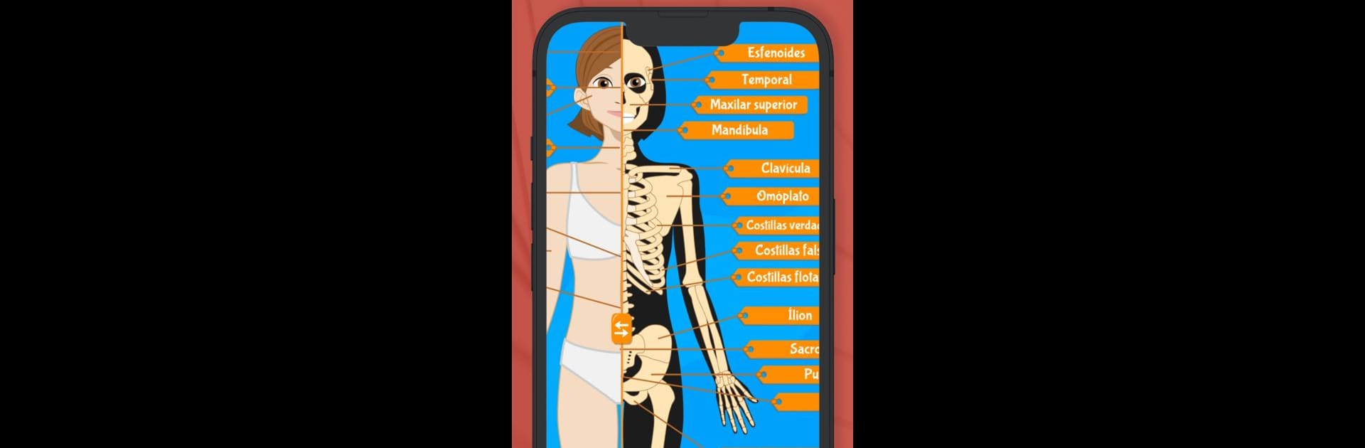 Atlas Anatomía: Cuerpo Humano