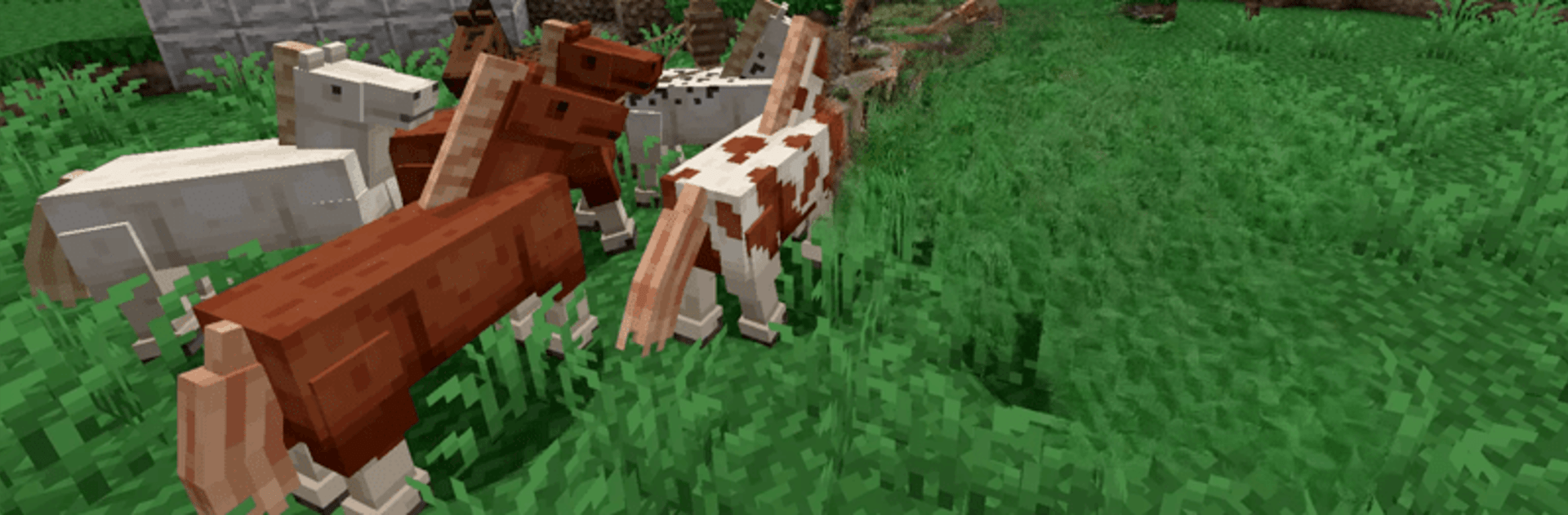 Horse Mod for Minecraft PE