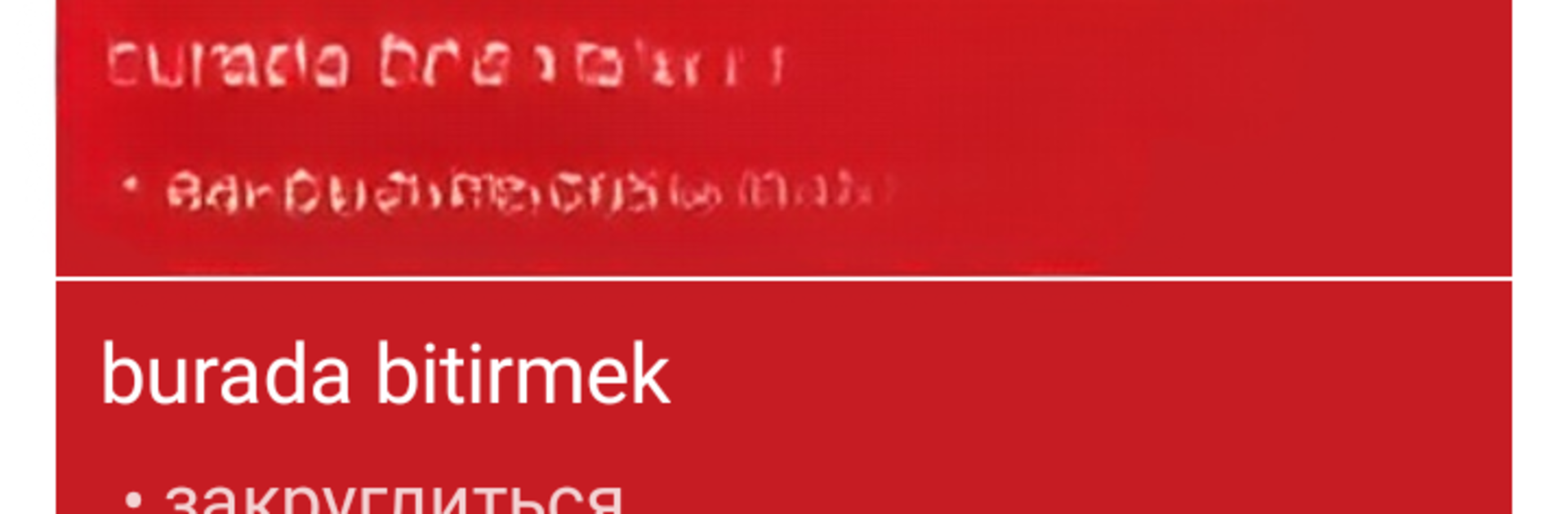 Turkish - Russian : Dictionary & Education