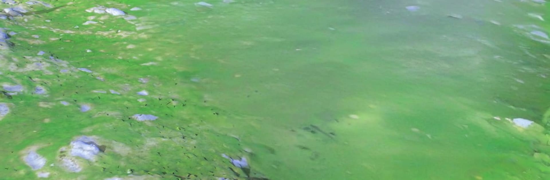 Offroad Jeep Drive Simulator