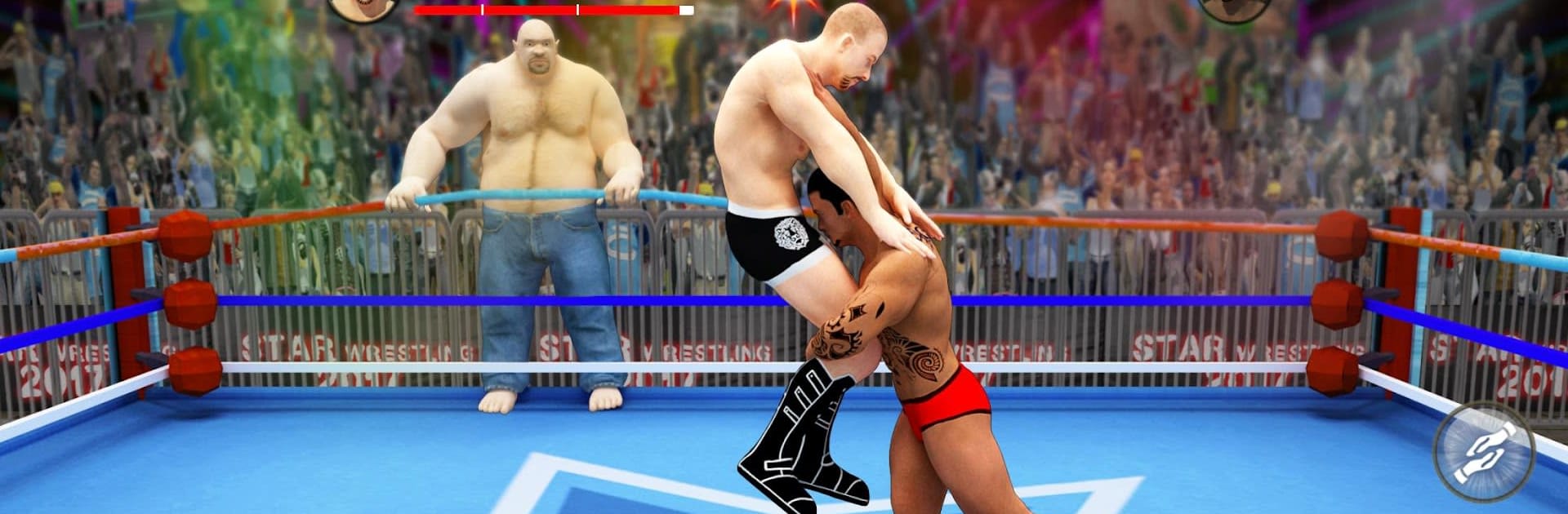 World Tag Team Wrestling Revolution Championship