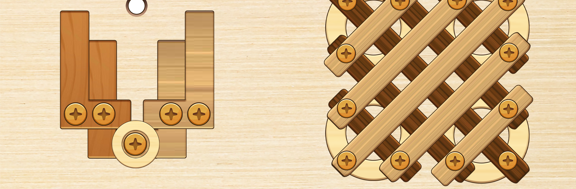 Unscrew Puzzle: Nuts and Bolts