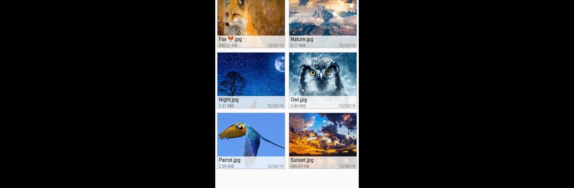 File Manager - Fennec File Manager