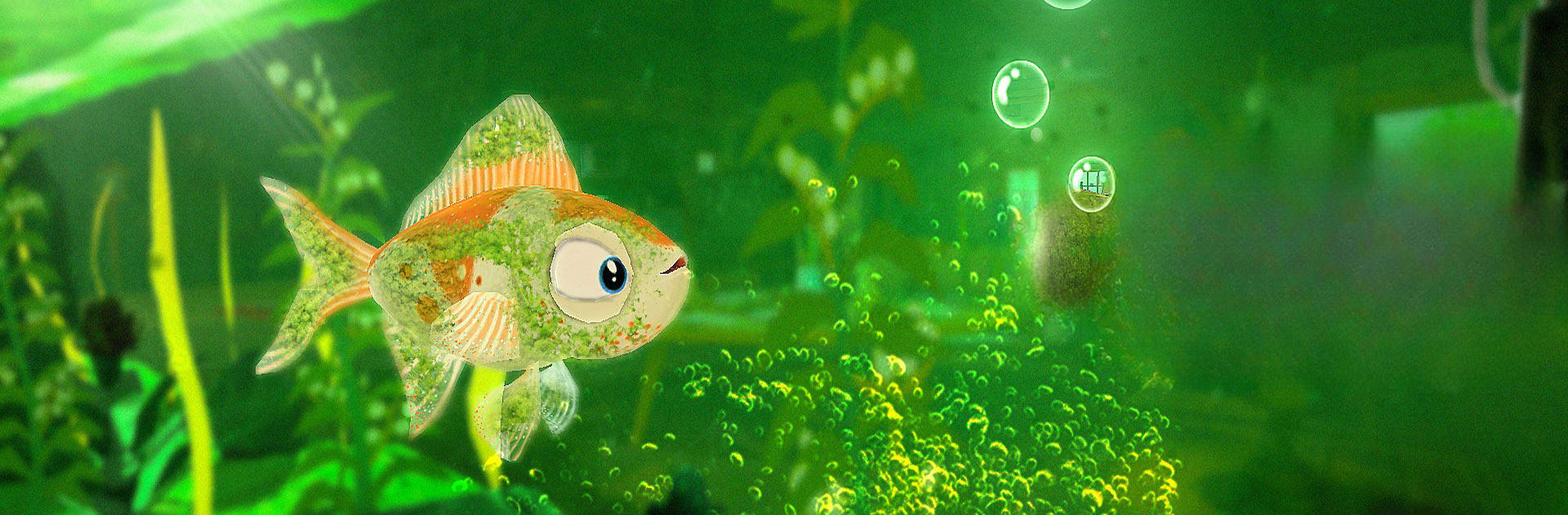 aquarium terre mon Fish bol 3d