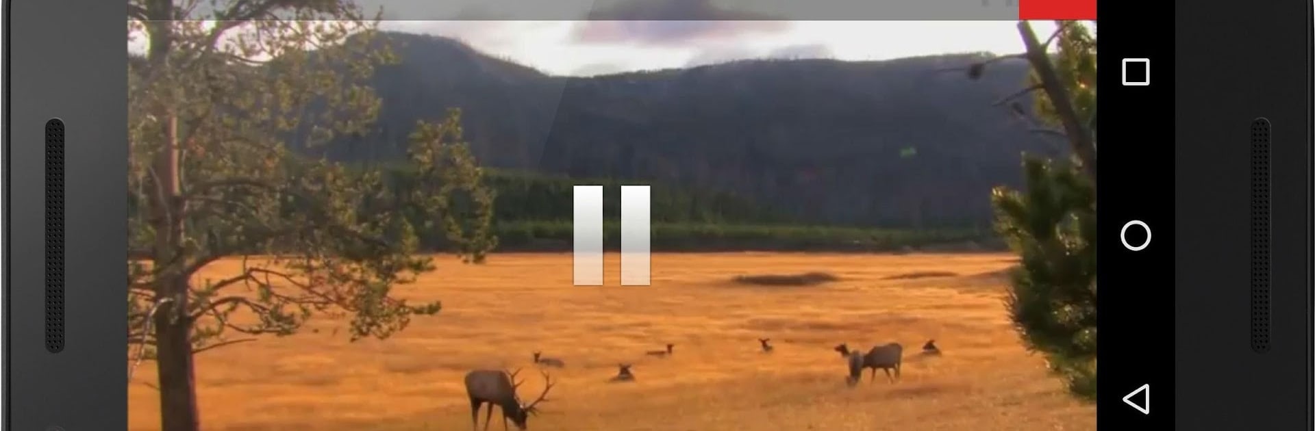 FilmOn Live TV Chromecast