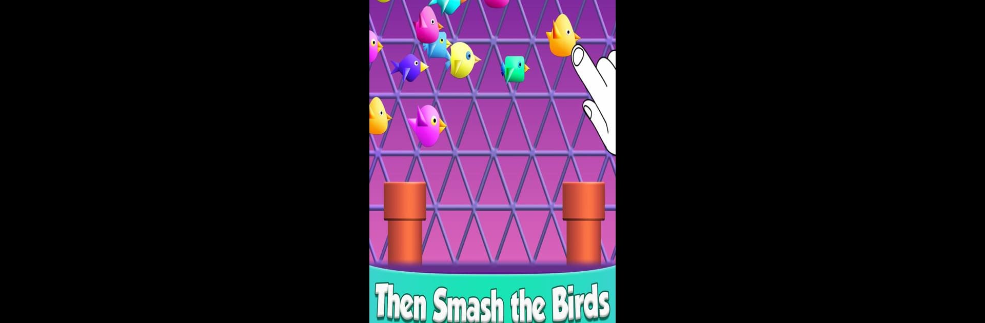 Cool Birds Game for Kids