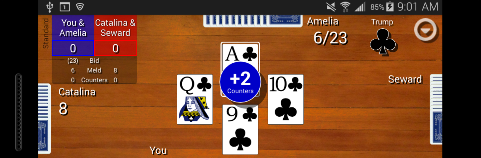 Pinochle Classic