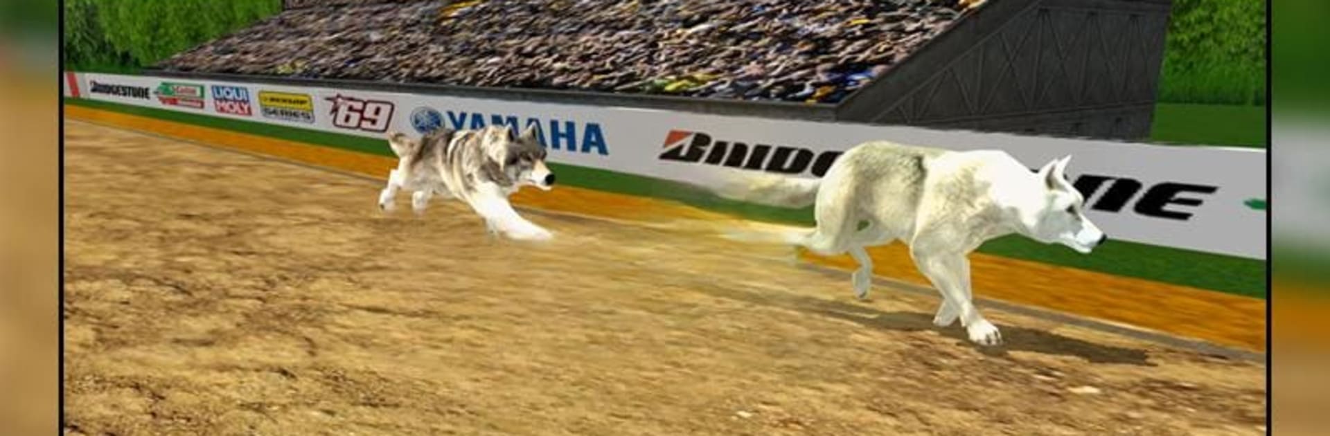 Dog Racing - Dog race Simulator