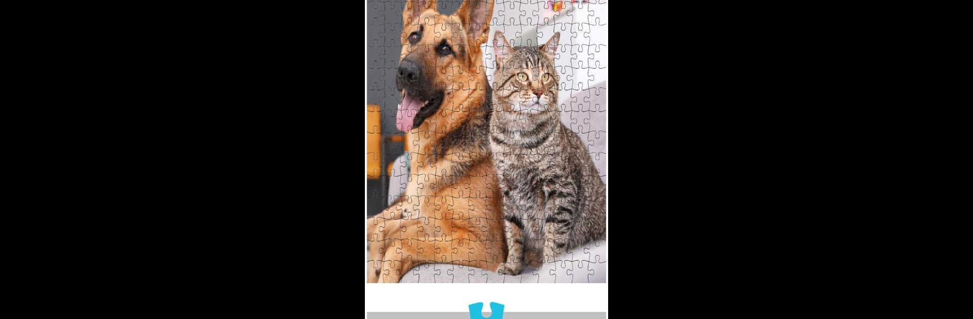 Jigsaw Puzzles - Free Jigsaw Puzzle Games