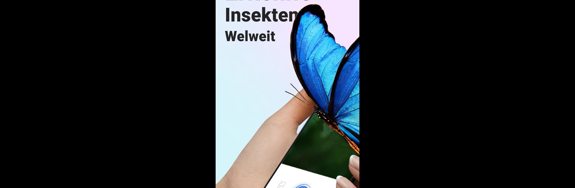 Picture Insect - Insekten ID