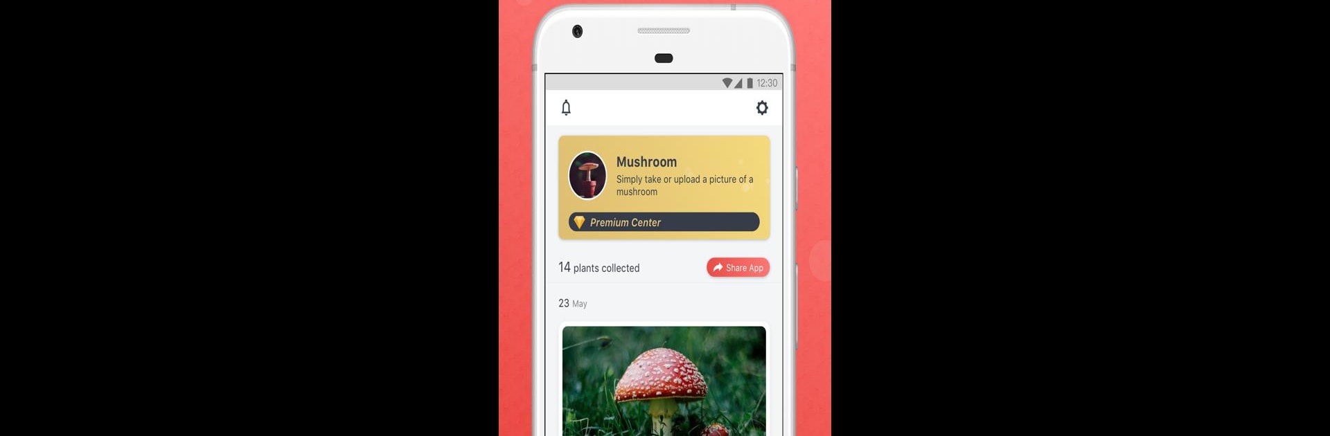 Picture Mushroom - Mushroom ID