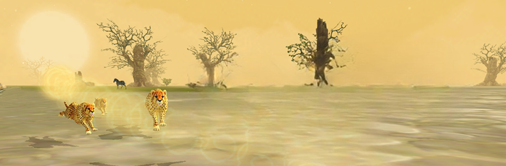 Cheetah Simulator