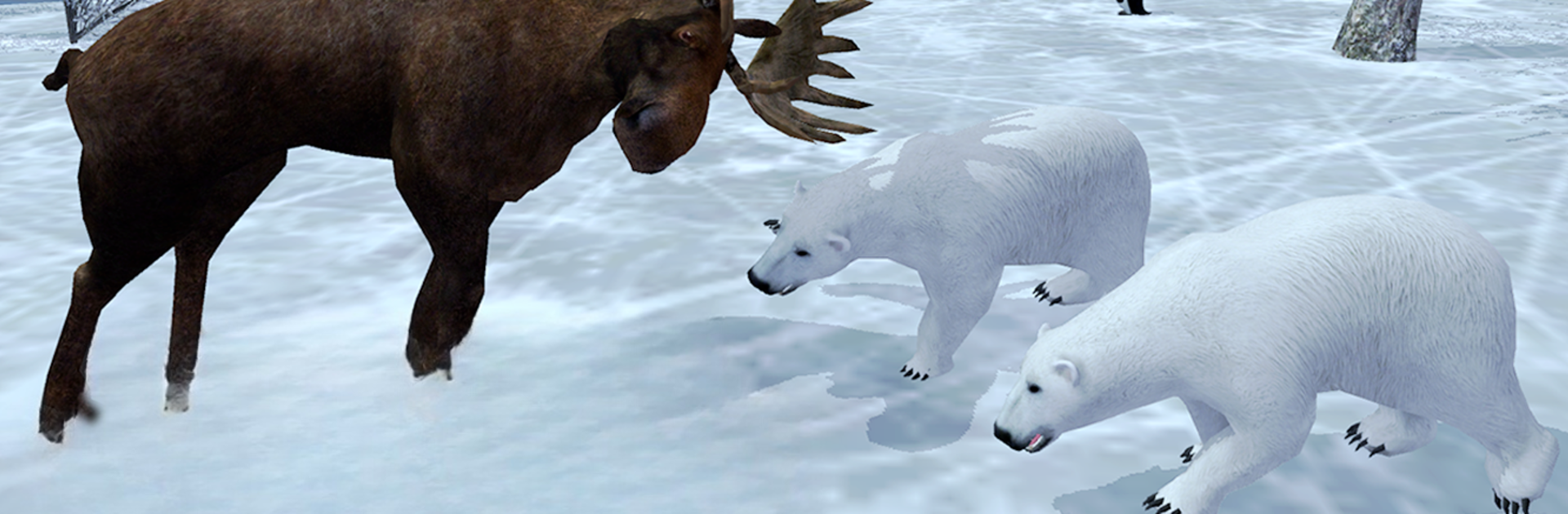 Polar Bear Simulator