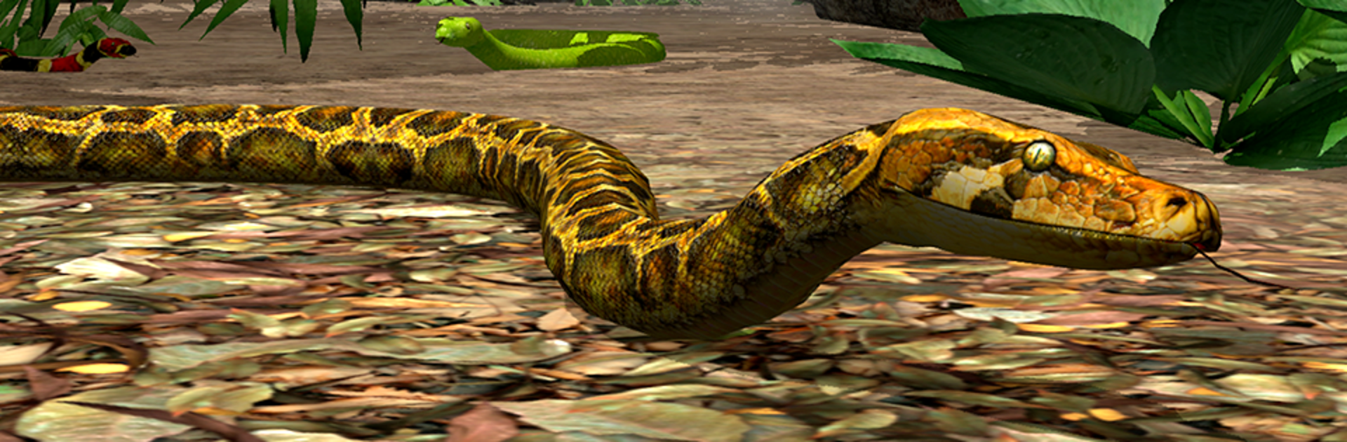 Snake Simulator