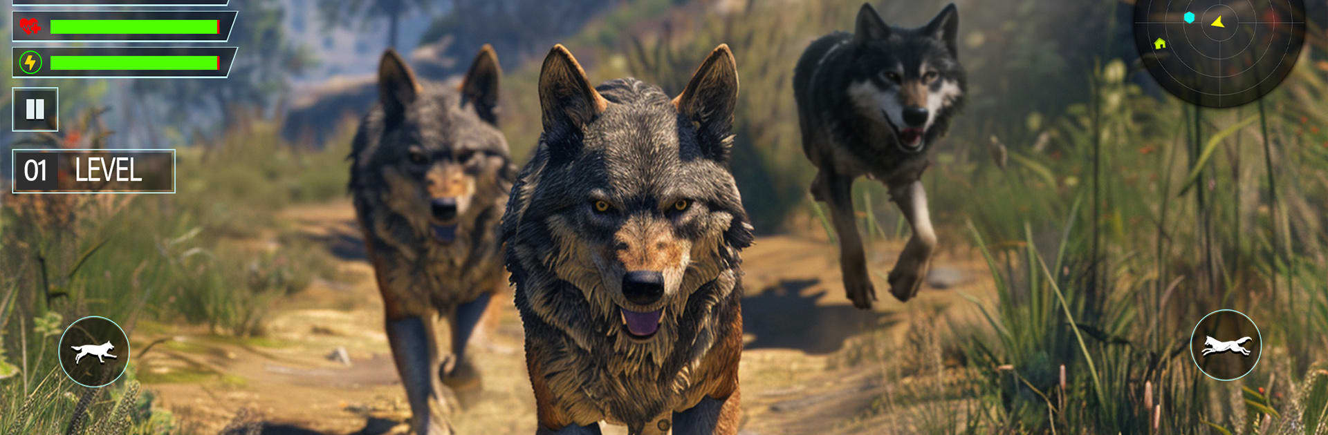 Wild Animal Simulator Game 3D