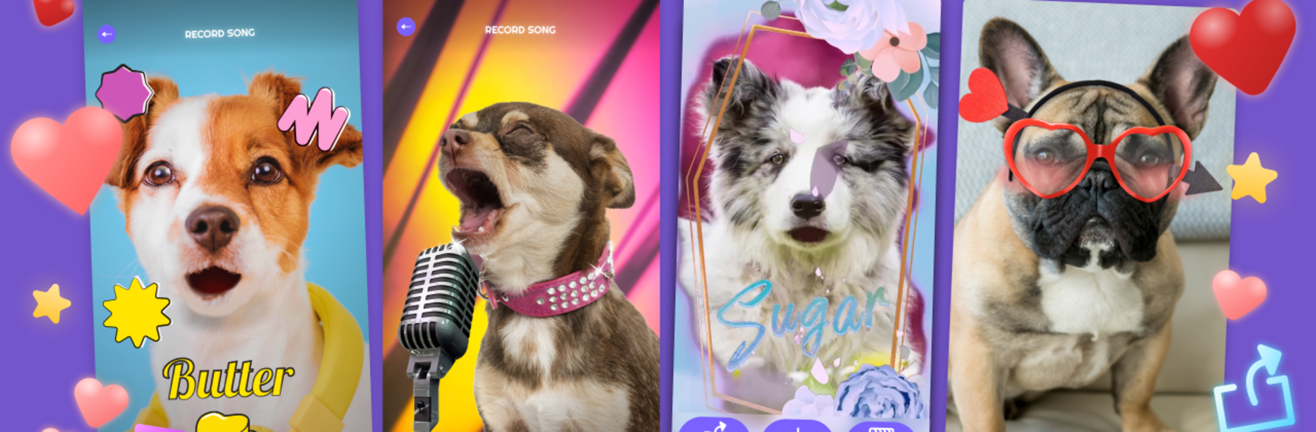 PetStar