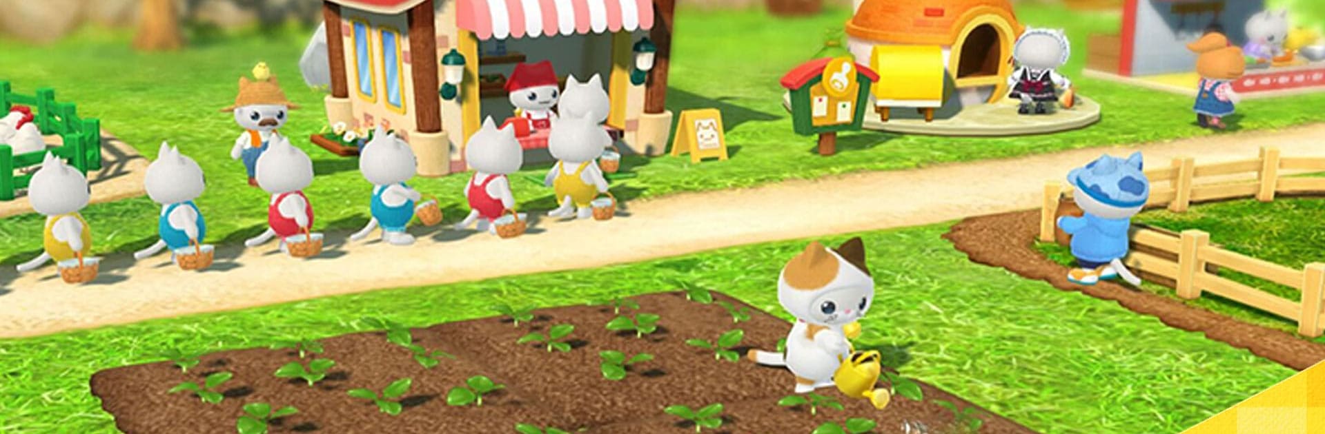 Meow Star Acres2