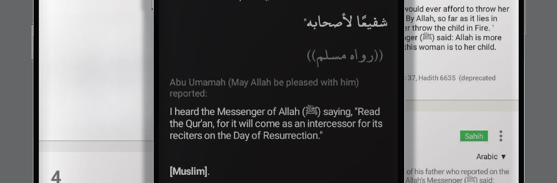 Hadith Collection (All in one)
