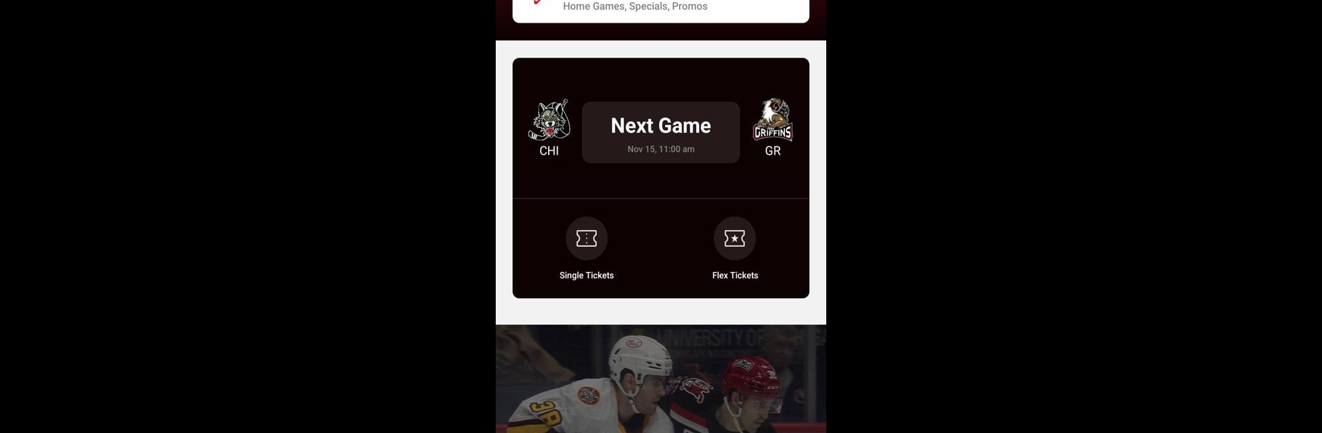 Grand Rapids Griffins Hockey