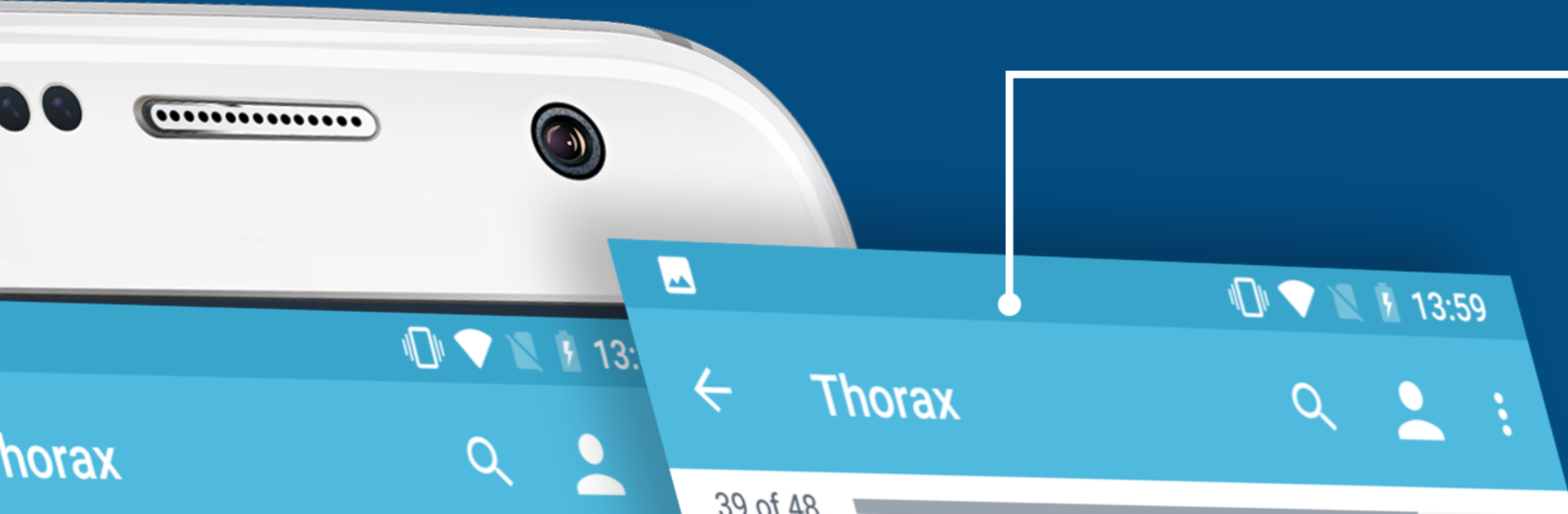 USMLE Clinical Anatomy
