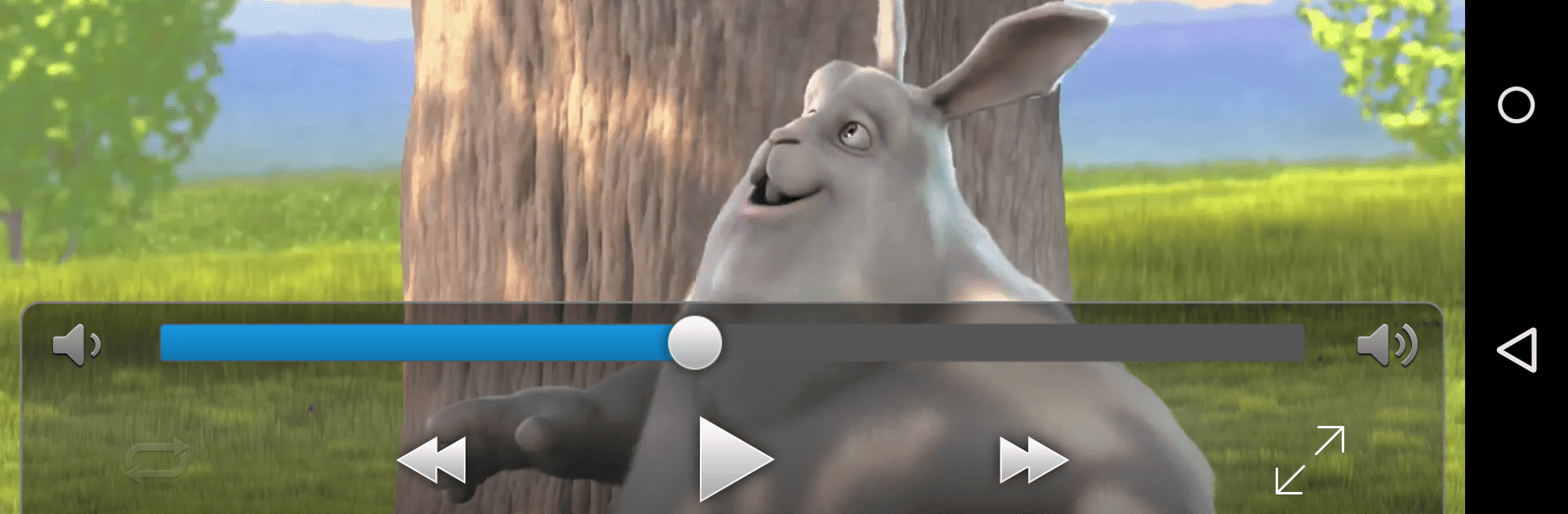 VLC Streamer