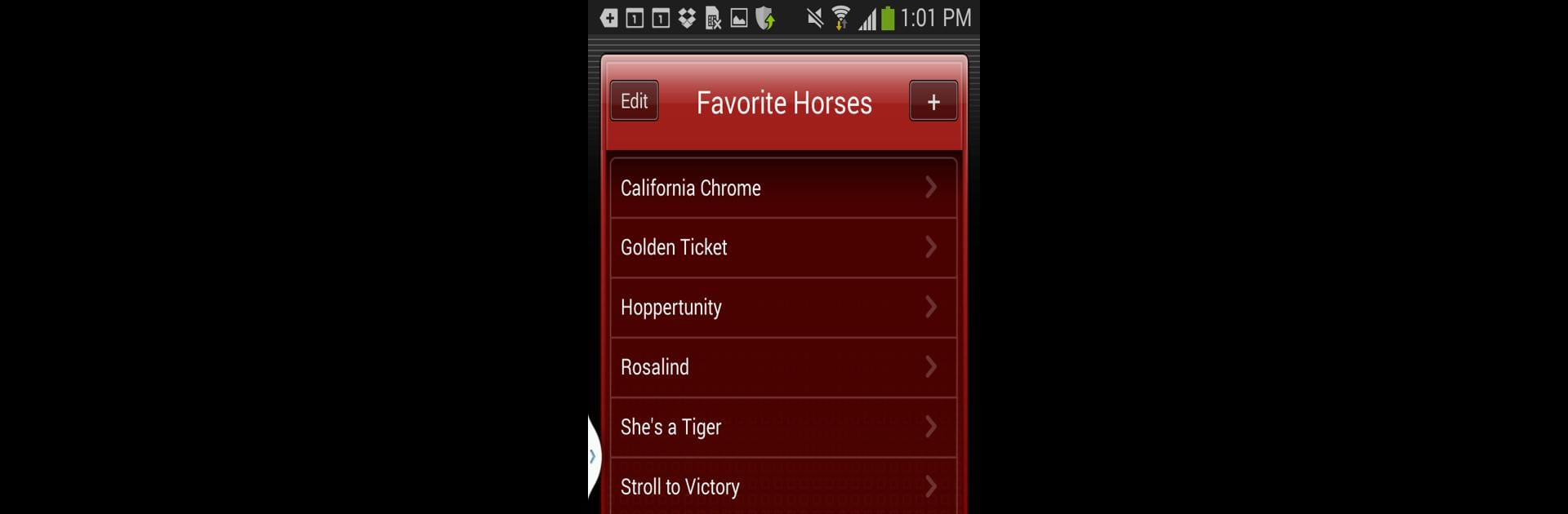 Horse Races Now