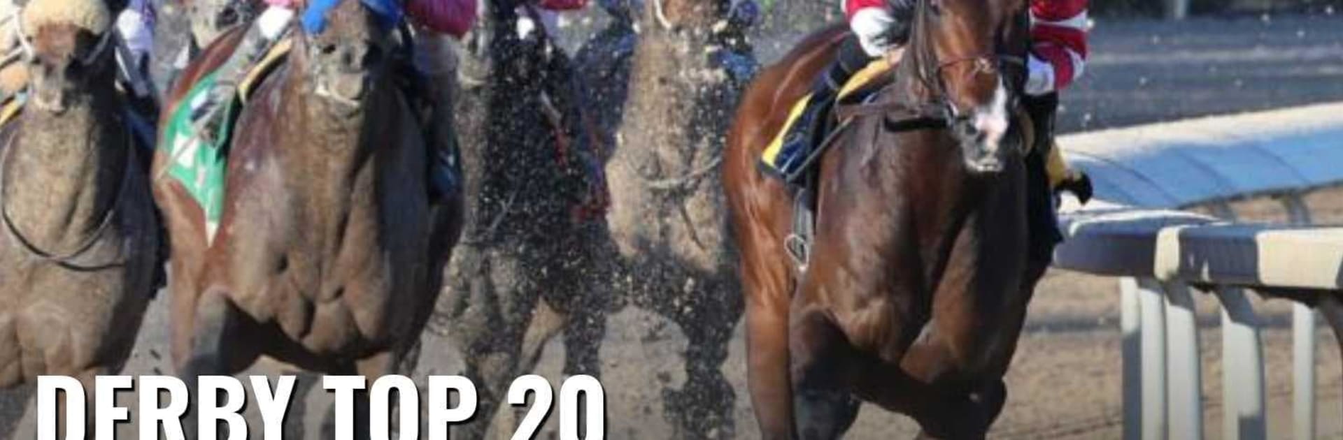 Horse Racing Nation