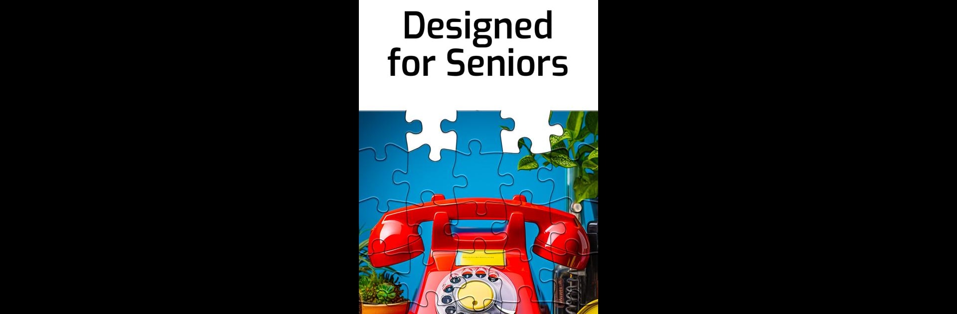Puzzles for Seniors