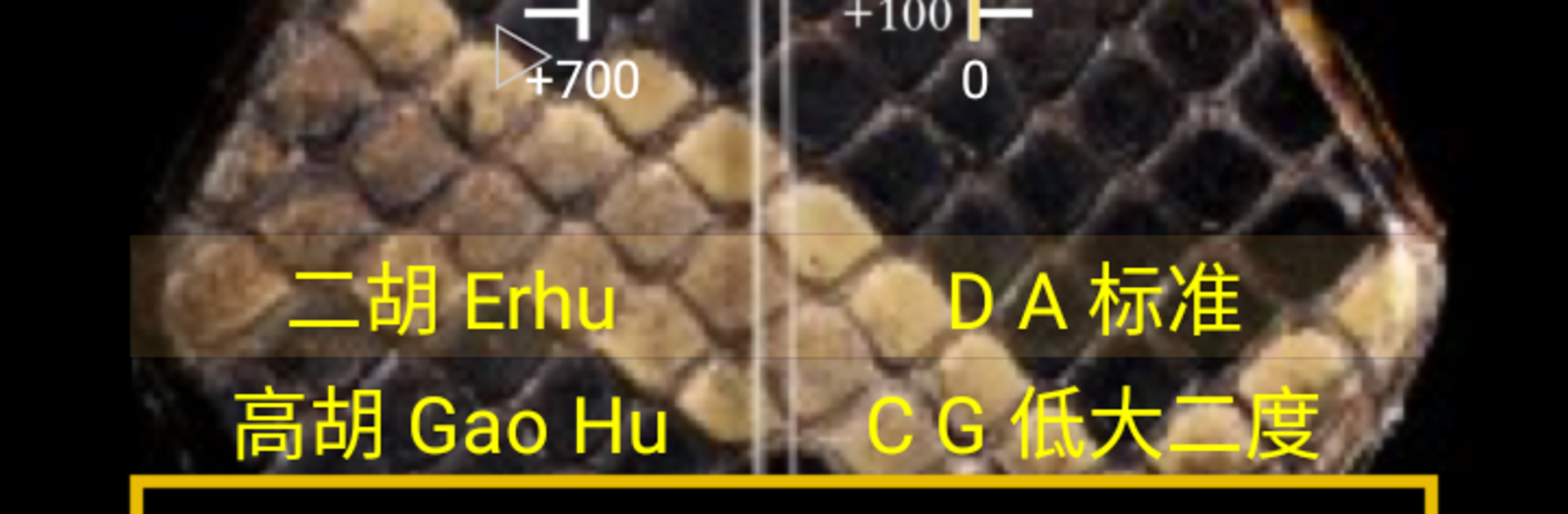 Erhu Tuner & Metronome