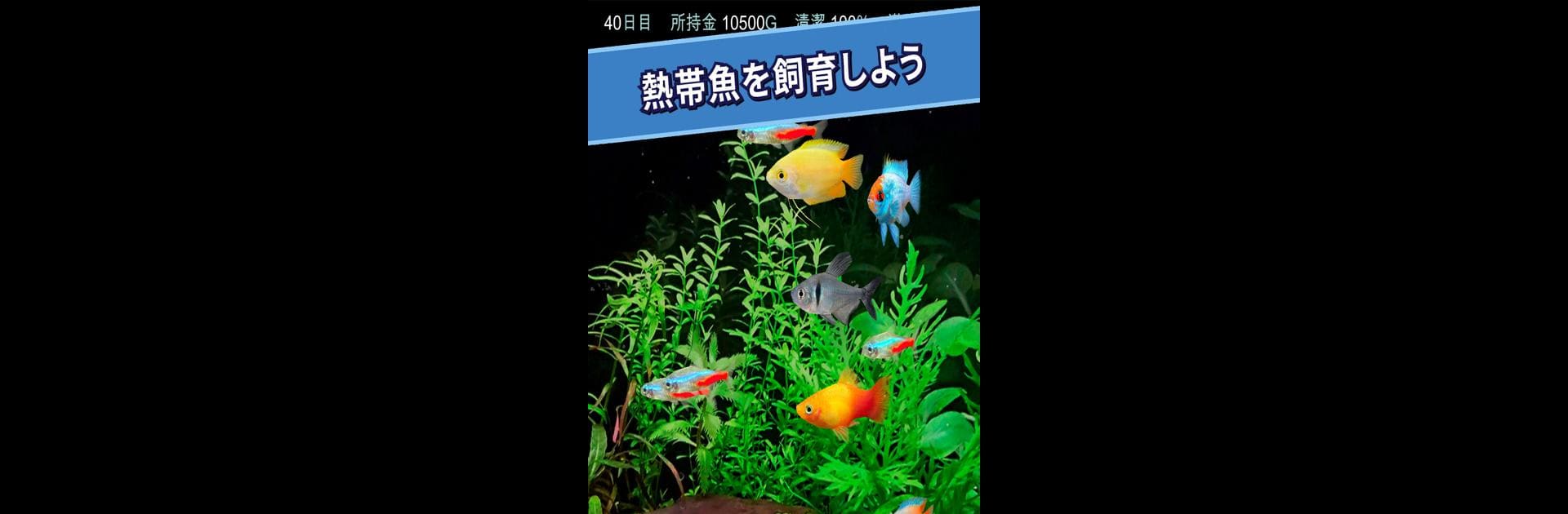 Tropical Aquarium - Mini Aqua