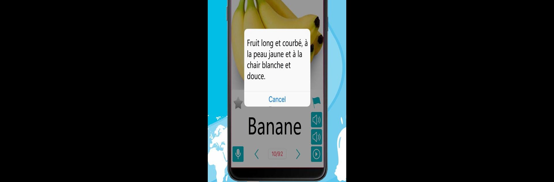French 5000 Words with Pictures