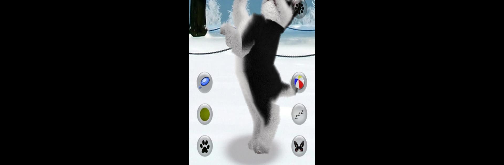 Talking Husky