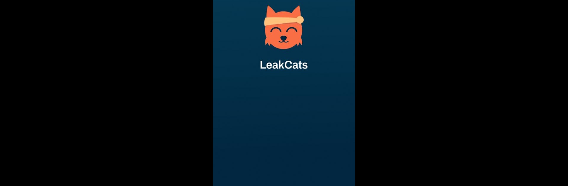 Leakcats: Data Security Tools