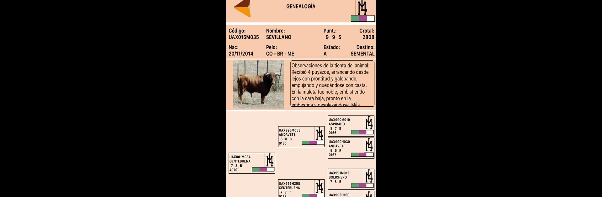 LidiaNet APP