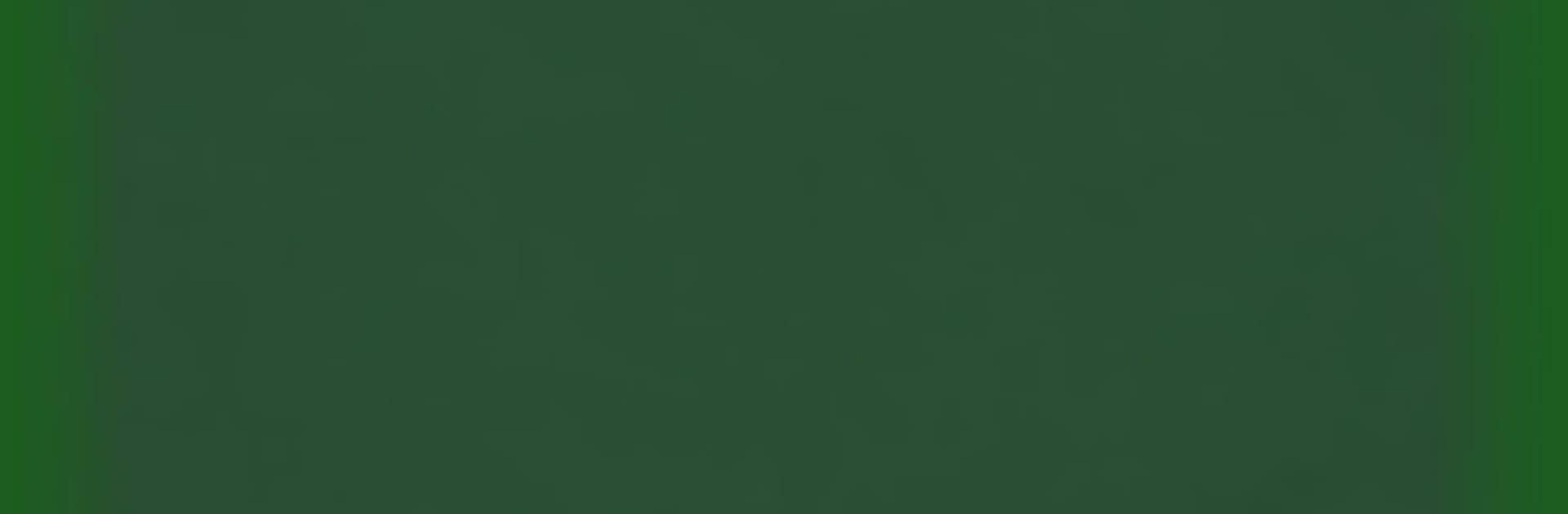 DartBee - Darts Scoreboard PRO