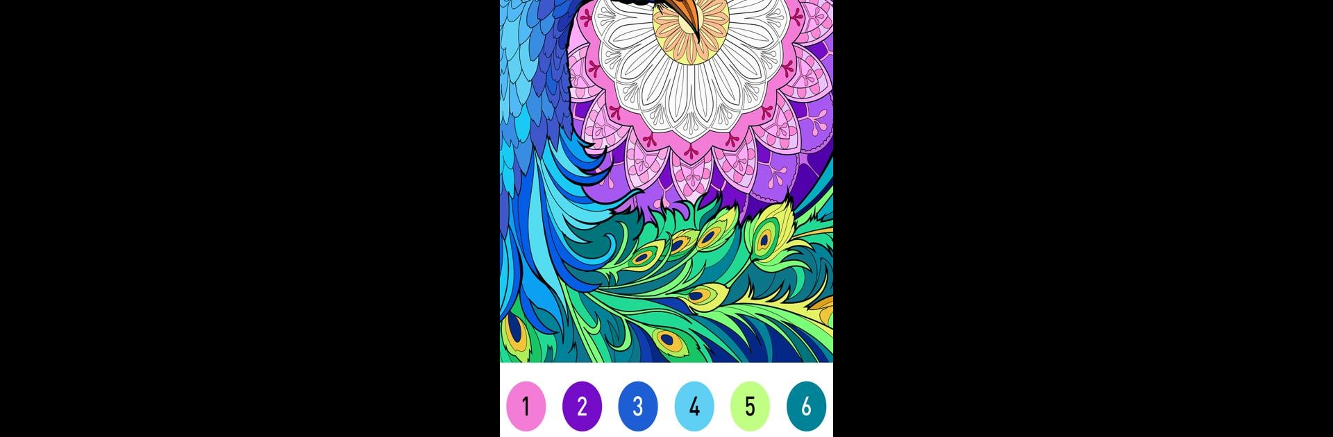 Mandala Color by Number Book