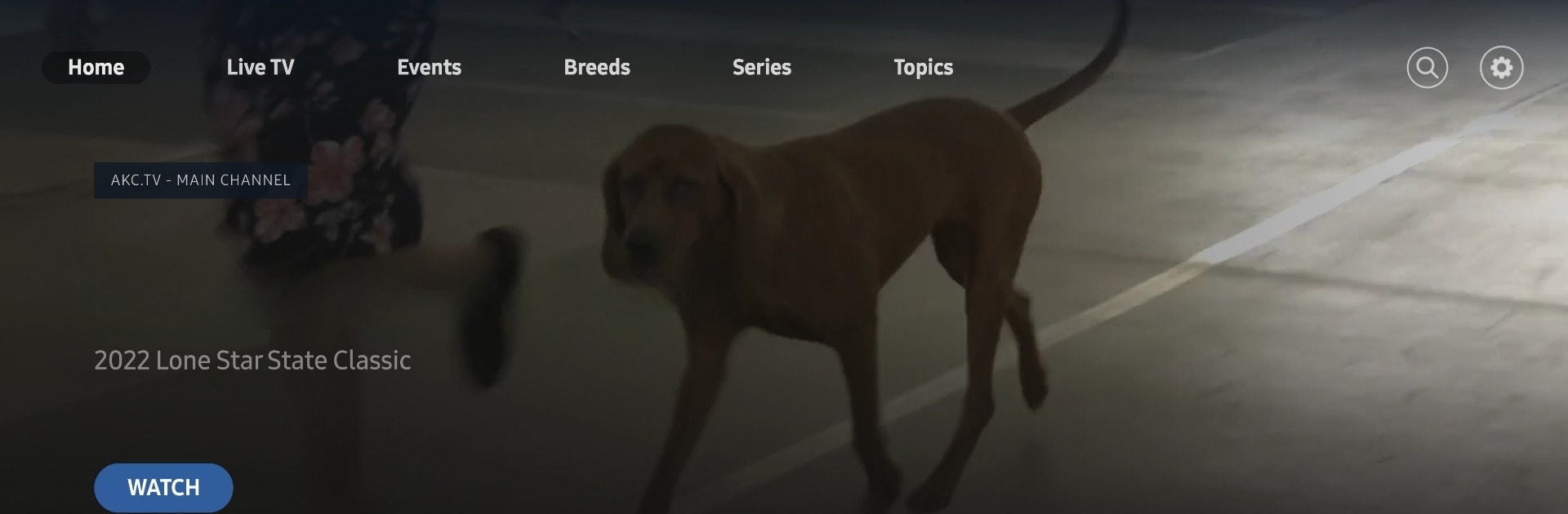 AKC.TV