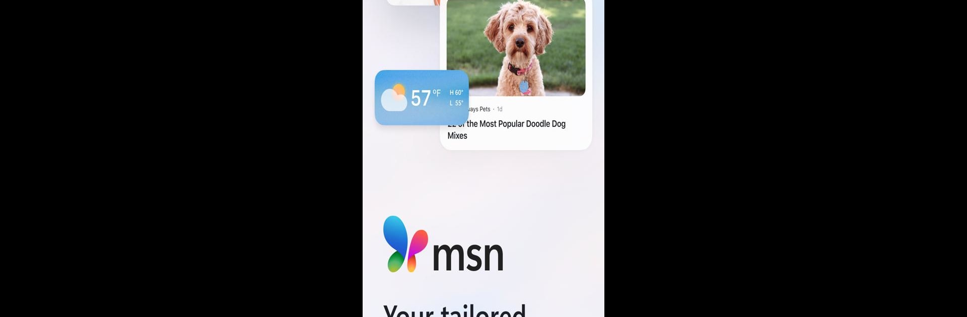MSN