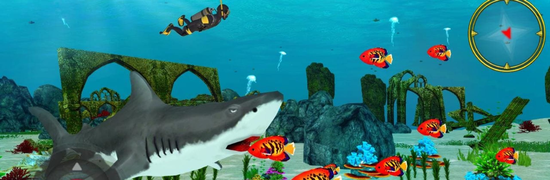 Shark Simulator 2018