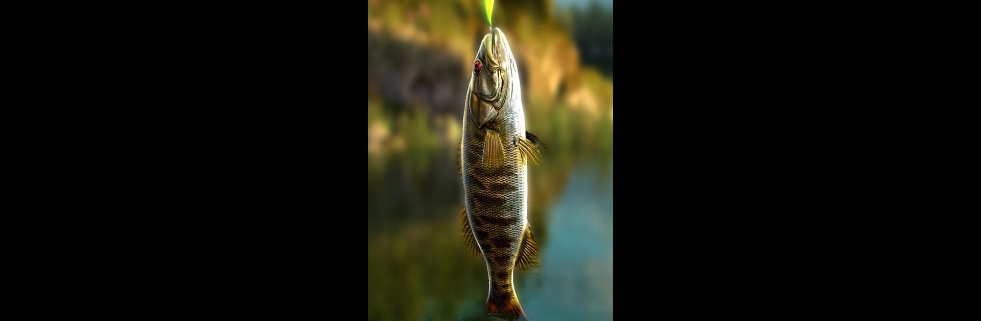 Go Fishing! Fish Game
