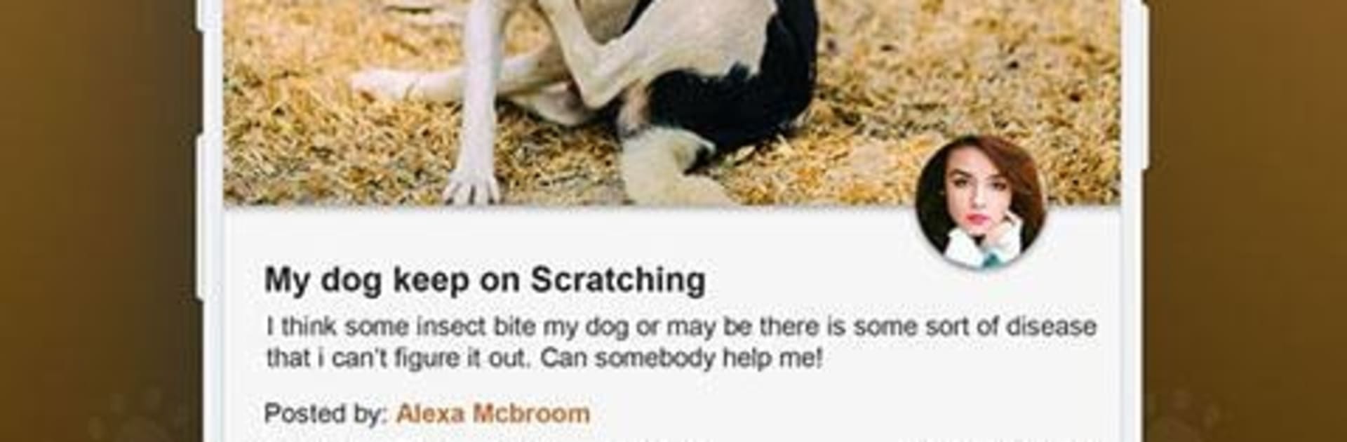 Dog Bread Identifier: Dog Scanner by photo, camera