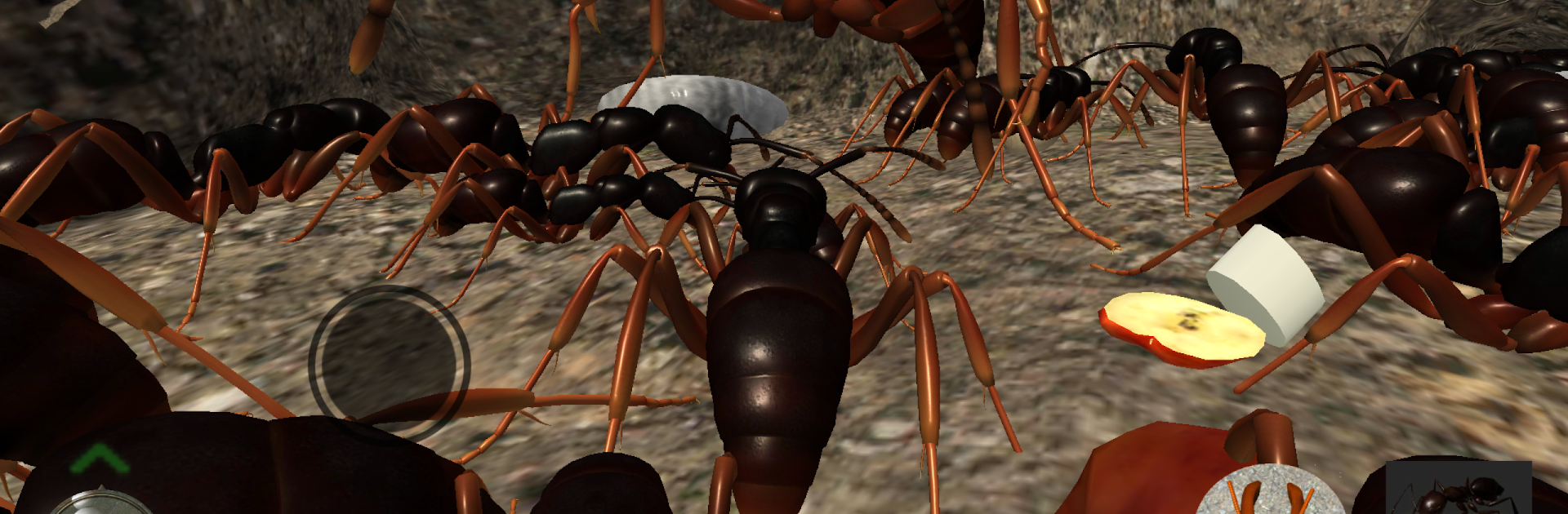 Ant Simulation 3D