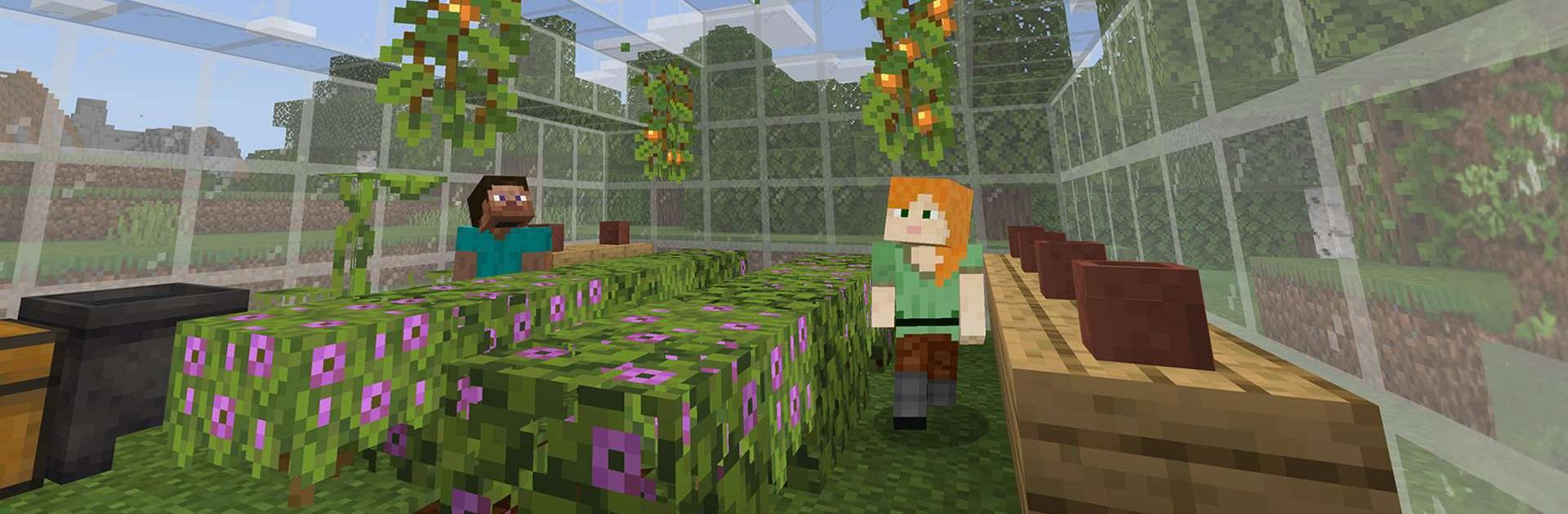 Download & Play Minecraft on PC & Mac (Emulator)